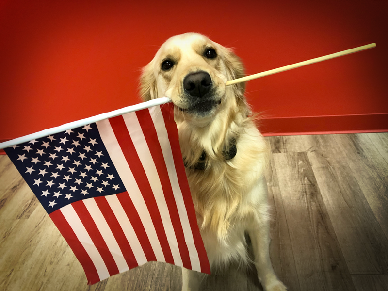 Bash holding the American flag