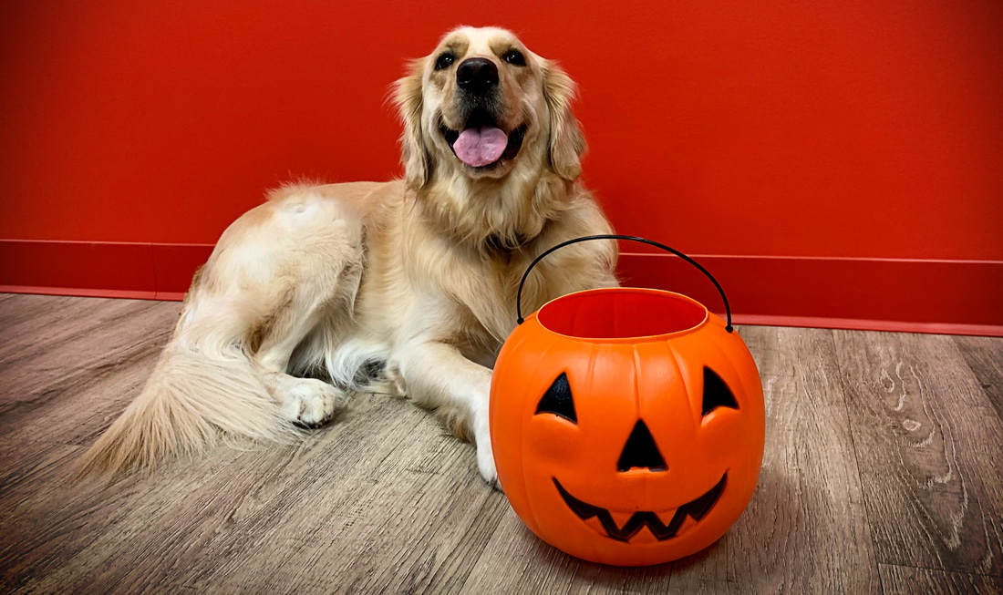 Happy Howl-O-Ween