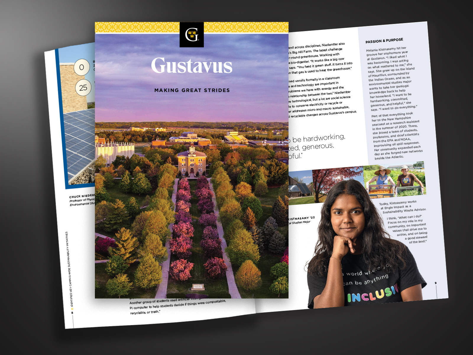 Gustavus Momentum Brochure