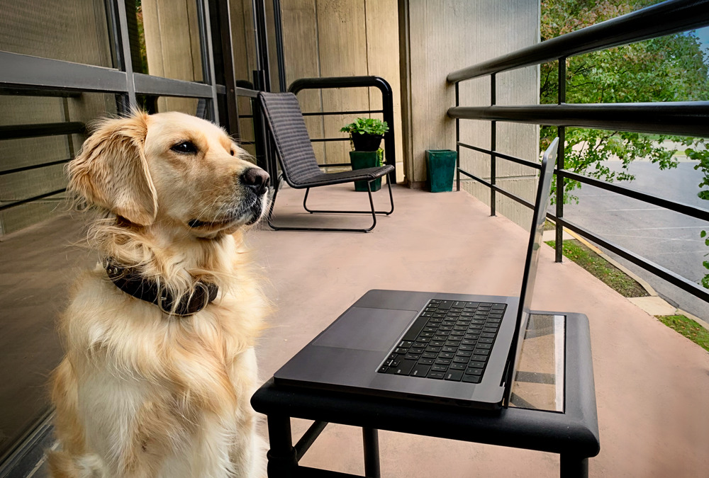 Bash working from patio