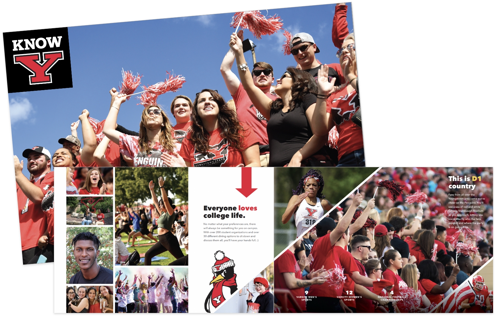 Youngstown State University brochure