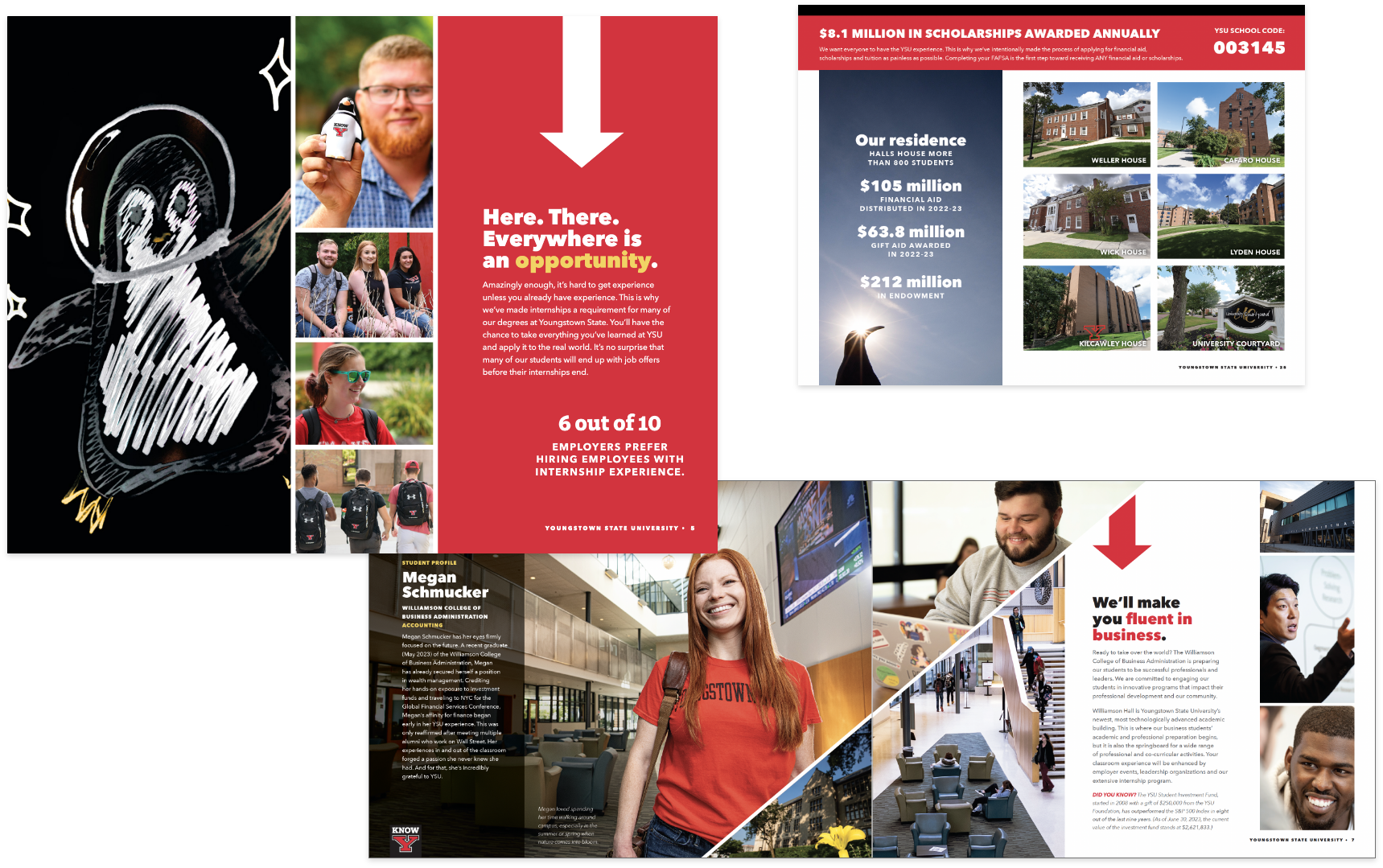 Youngstown State University brand brochure