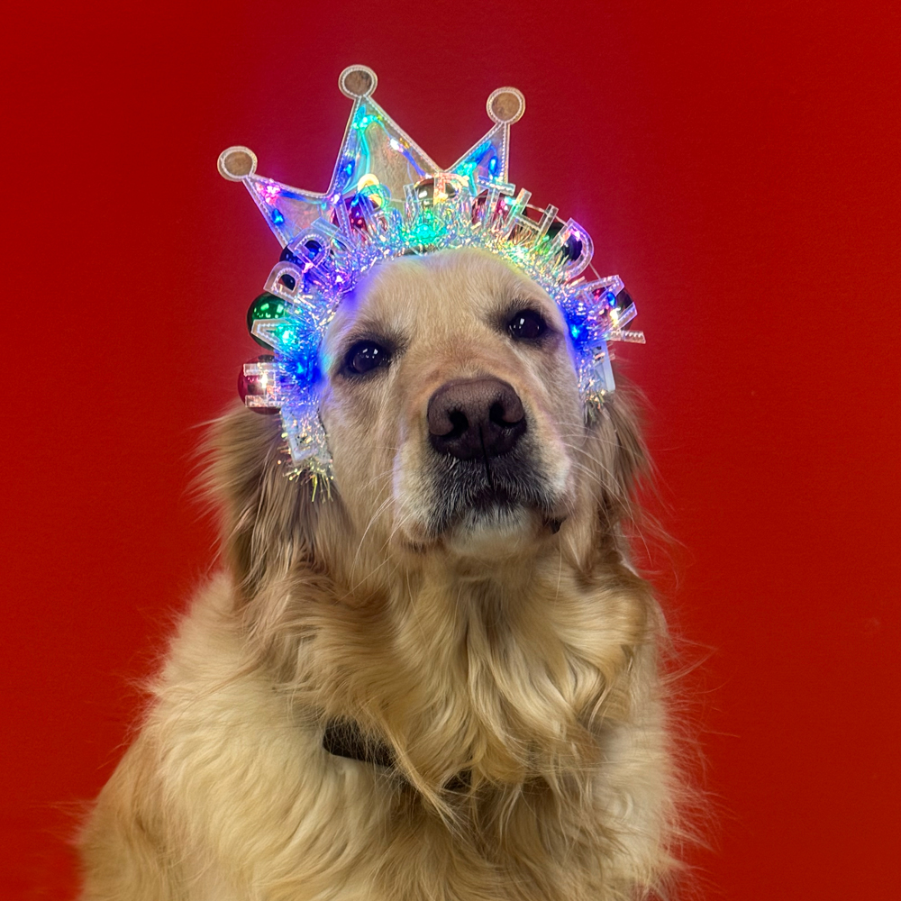 Heavy is the head that wears the crown